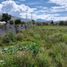  Land for sale in Guayllabamba, Quito, Guayllabamba