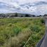  Land for sale in Guayllabamba, Quito, Guayllabamba