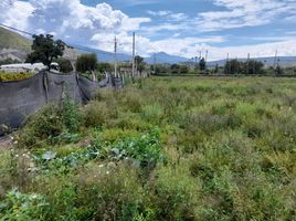  Land for sale in Guayllabamba, Quito, Guayllabamba