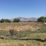  Land for sale in Silao, Guanajuato, Silao