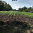  Terreno (Parcela) en venta en Tepoztlan, Morelos, Tepoztlan