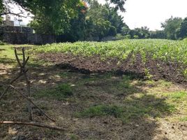  Terreno (Parcela) en venta en Tepoztlan, Morelos, Tepoztlan