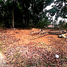  Terreno (Parcela) en venta en Ancón, Panamá, Ancón