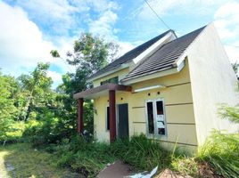 2 Kamar Rumah for sale in Sedayu, Bantul, Sedayu