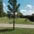  Land for sale in General Pedernera, San Luis, General Pedernera