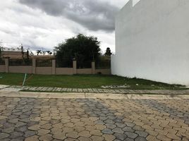  Grundstück zu verkaufen in Atlixco, Puebla, Atlixco, Puebla