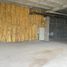 219.27 m² Office for rent in Monterrey, Nuevo Leon, Monterrey