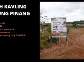  Land for sale in Bunguran Barat, Kepulauan Riau, Bunguran Barat