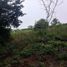  House for sale in Temozon, Yucatan, Temozon