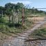  Land for sale in Padilla, Tamaulipas, Padilla