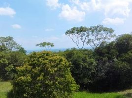  Land for sale in Cali, Valle Del Cauca, Cali