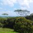  Land for sale in Cali, Valle Del Cauca, Cali