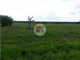  Land for sale in Penonome, Cocle, Cocle, Penonome