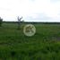  Land for sale in Cocle, Cocle, Cocle, Penonome