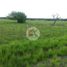  Land for sale in Penonome, Cocle, Cocle, Penonome