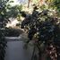 在Morelos出租的2 卧室 公寓, Cuernavaca, Morelos