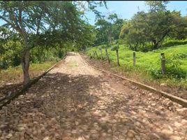  Terreno (Parcela) en venta en Tepic, Nayarit, Tepic, Nayarit