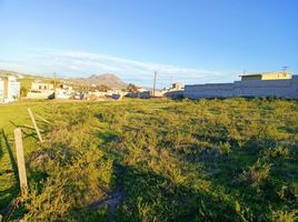  Grundstück zu verkaufen in Tijuana, Baja California, Tijuana