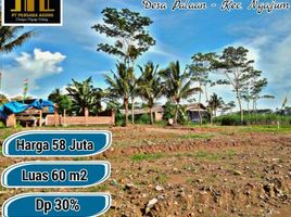  Land for sale in Kepanjen, Malang Regency, Kepanjen