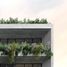 2 Habitación Apartamento en venta en Miguel Hidalgo, Ciudad de México, Miguel Hidalgo
