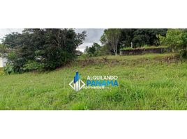  Terrain for sale in Jungla de Panama Wildlife Refuge, Palmira, Alto Boquete