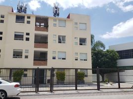  Wohnung zu vermieten in El Marques, Queretaro, El Marques