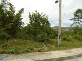  Land for sale in Central Visayas, Cebu City, Cebu, Central Visayas