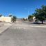 在Baja California Sur出租的 土地, La Paz, Baja California Sur