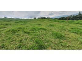  Land for sale in San Pedro De Los Milagros, Antioquia, San Pedro De Los Milagros