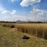  Land for sale in Tonala, Jalisco, Tonala, Jalisco