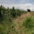  Land for sale in Tarimbaro, Michoacan, Tarimbaro