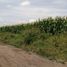  Land for sale in Tarimbaro, Michoacan, Tarimbaro