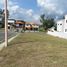  Land for sale in Guabito, Bocas Del Toro, Guabito, Changuinola, Bocas Del Toro