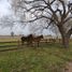  Land for sale in Zarate, Buenos Aires, Zarate
