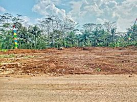  Land for sale in Kepanjen, Malang Regency, Kepanjen