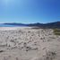  Grundstück zu verkaufen in Mulege, Baja California Sur, Mulege