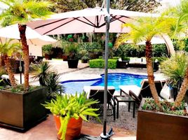 4 Schlafzimmer Haus zu verkaufen in Morelia, Michoacan, Morelia