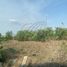  Land for rent in General Escobedo, Nuevo Leon, General Escobedo