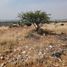  Land for sale in Tequisquiapan, Queretaro, Tequisquiapan, Queretaro, Mexico