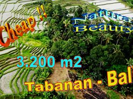  Land for sale in Penebel, Tabanan, Penebel