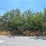  Land for sale in Apodaca, Nuevo Leon, Apodaca, Nuevo Leon