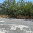  Land for sale in Apodaca, Nuevo Leon, Apodaca, Nuevo Leon