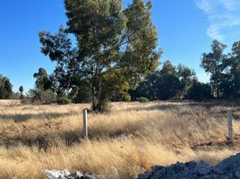  Terreno (Parcela) en alquiler en Aguascalientes, Pabellon De Arteaga, Aguascalientes