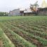  Grundstück zu verkaufen in Arjasari, West Jawa, Arjasari, Bandung