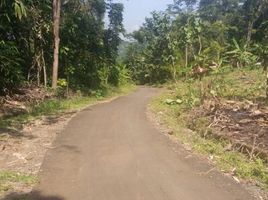  Land for sale in Sukabumi, West Jawa, Sukabumi, Sukabumi