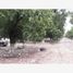  Land for sale in Matamoros, Coahuila, Matamoros