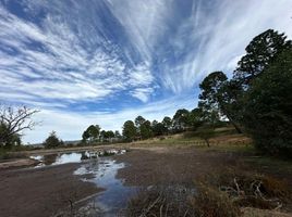  Terreno (Parcela) en venta en Atemajac De Brizuela, Jalisco, Atemajac De Brizuela