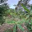  Terreno (Parcela) en venta en Cunduacan, Tabasco, Cunduacan