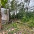  Terreno (Parcela) en venta en Cunduacan, Tabasco, Cunduacan