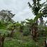  Terreno (Parcela) en venta en Cunduacan, Tabasco, Cunduacan
